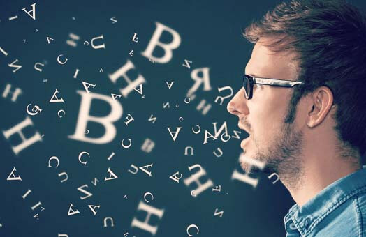 Speech Synthesis LSI 音声合成 LSI 大容量、中・小容量、小容量、車載対応、外付けメモリ対応