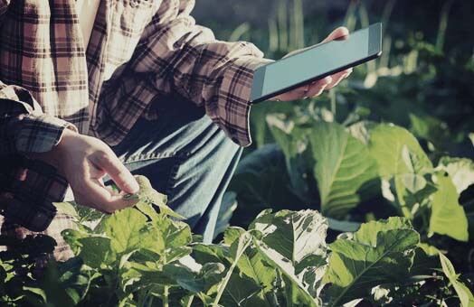 農業 IoTソリューション 土壌センサ、フィールドスキャンシステム